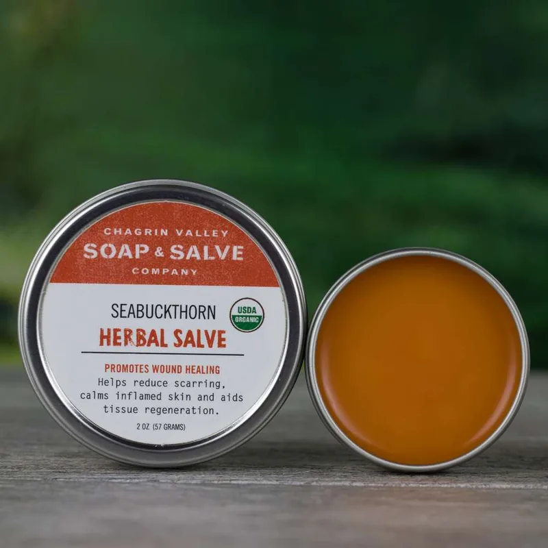 Company Herbal Salve, Sea Buckthorn