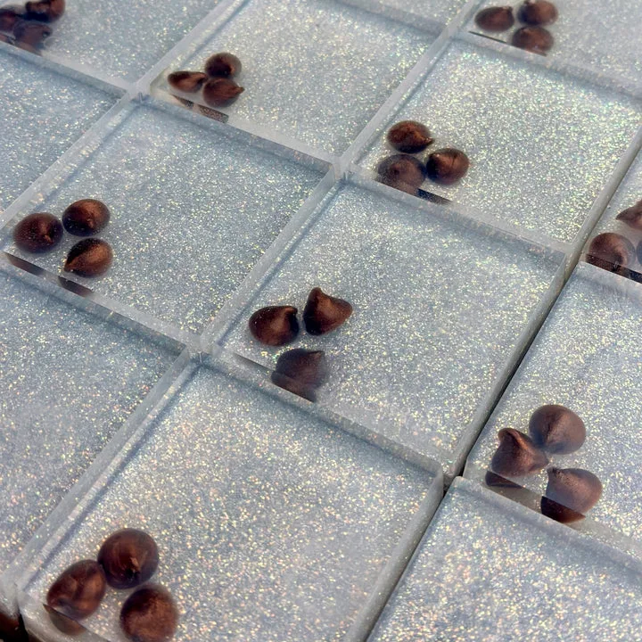Soap, COCOA + VANILLA