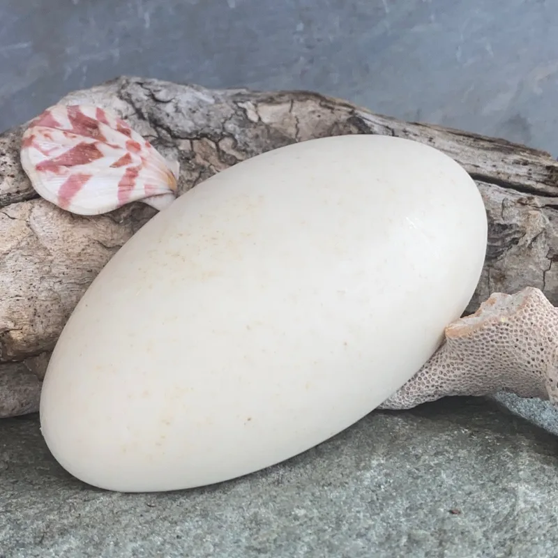 Cnodial Wave Perilla Oil & Oatmeal Facial Bar