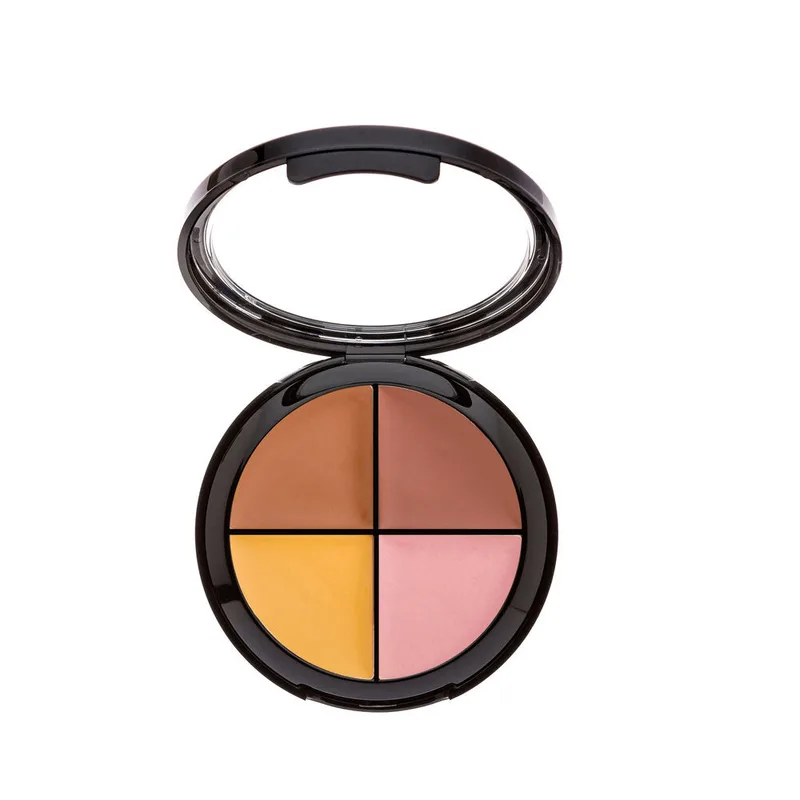 Camouflage Concealer Wheel, Dark Tones