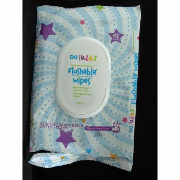 Dg Kids Flushable Wipes (2018 formulation)