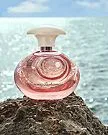 Bahama Eau De Parfum Spray