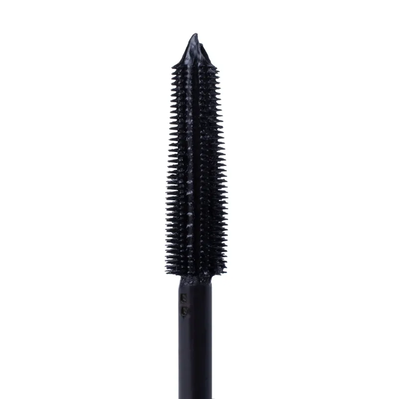 Mascara, Circuit