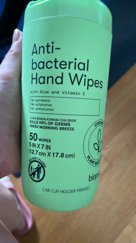 Anti-bacterial Hand Wipes, Fresh morning breeze